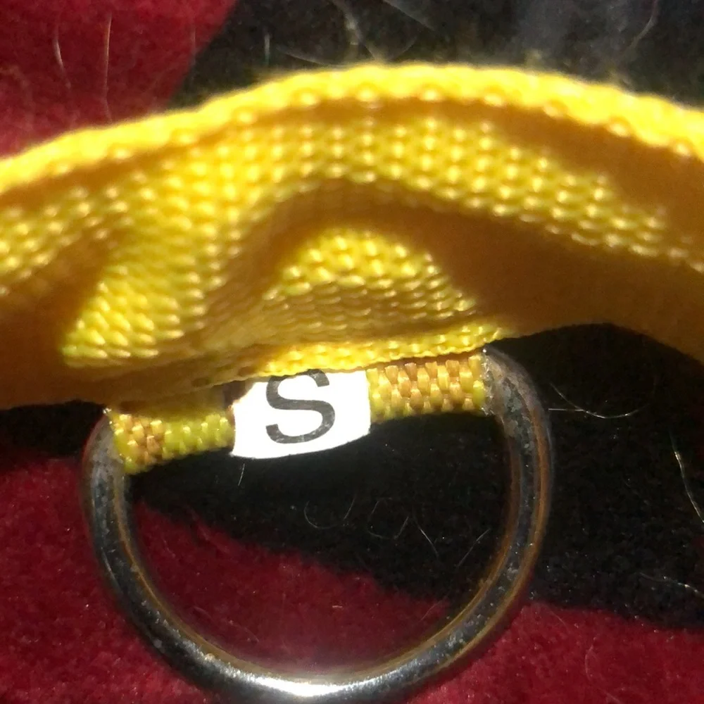 🛍Light up Dog collar‎ with ring.